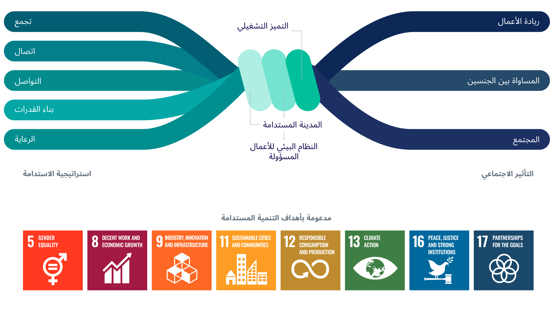 Diagram of DMCCs sustainability strategy-arabic